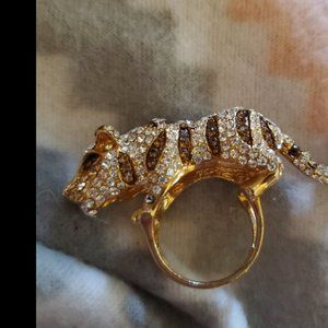 rhibestone ncikel hard times